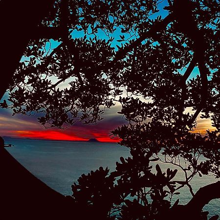 Bonsai Hotell Tropea Eksteriør bilde